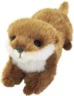 Otter (BE) Plush toy (S) "fluffies - フラッフィーズ -"