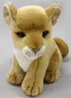 Lion Plush toy