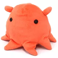 Opisthoteuthis depressa Plush toy M 「 Shinkai-san 」