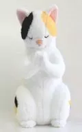 Peluche "Gassho", un gato calico