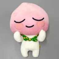 APEACH毛绒玩偶