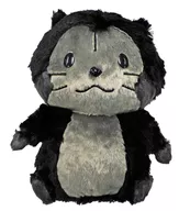 Petit Rascal Black Color BIG Empalhado "Araiguma Rascal"