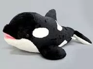 Orchard Peluche Orchard Demarquía 3 etc.