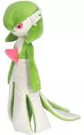 Sir Night ALL STAR COLLECTION S size Plush toy "Pokémon"
