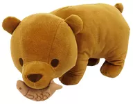 クマ クマのおきものぬいぐるみXL 「FANS」