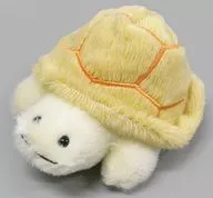 Tortoise Pocamaru Plush toy (S) "Continent Stroll"