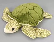 リアルアオウミガメ（M) ぬいぐるみ 沖縄美ら海水族館限定