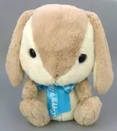 Teddy Chan Teddy Color BIG Plush toy "Pote-Sareopi"