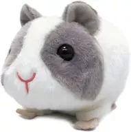 もちもちもるもっと(グレー) ぬいぐるみ