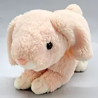 Holland lop (Pink) Plush toy (M) "MARRON Usagi no Marron"