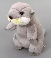 Otter (grey) Plush toy "Baby Palette"