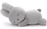 Usagi (Gray) Suyasuya Friend Plush toy (M) "Bruna Family"