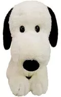 Snoopy 60's Vintage Plush toy (M) "PEANUTS (SNOOPY)"