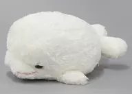 Delphinapterus leucas Peluche Hakkeijima Sea Paradise Limited