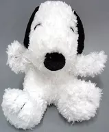 Snoopy puppet "PEANUTS (SNOOPY)" Universal Studios Japan limited