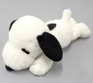 Snoopy Nebobari Plush toy (S) "PEANUTS (SNOOPY)" SNOOPY MUSEUM TOKYO limited