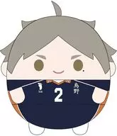 SUGAWARA no Takashi FuwaKororin Msize3 (Plush toy)' Haikyu!'