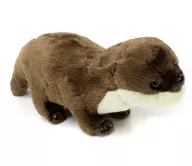 Solo en el acuario Sunshine de Peluche