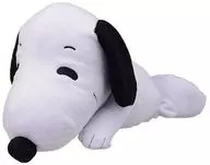 Snoopy Special Charley Brown and Peluche "PEANUTS"