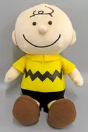 Charlie Brown Special "PEANUTS", a Plush toy that is close to Charlie Brown