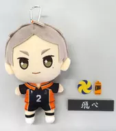 L. Takashi SUGAWARA Temochi Plush toy "Haikyu!!!" Jump Festa 2022 Goods
