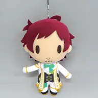 天道輝(スターリー・フューチャーズver) ミニぬいぐるみ 「アイドルマスター Side M」