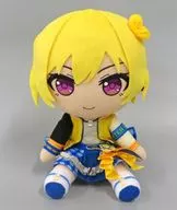 Nishijo Juri Plush toy "idol Master Shiny Colors" Asobi Store & limited to Amiami