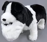 Sha Kroell Border Collie MB Plush toy 8 "Sha Kroell Planet"