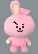 COOKY BASIC PLUSH L