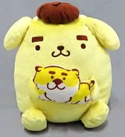 BIG Plush toy "Pom Pom Pudding X Shibanban" Collaboration with Pom Pom Pudding