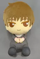 Bicho de pelúcia vol. 1 "Card Captor Sakura Clear Card" Moe Leafa ンタジー PALO limitado