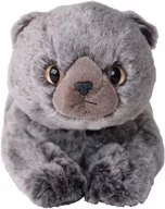 Scottish Fold (grey) Plush toy' Hizakoneko'