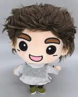 JINYOUNG -パク・ジニョン- NeverEver Ver. 「GOT7」 GOTOON DOLL