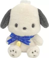 ポチャッコ Birthday Peluche (S) "Sanrio Character Stars"