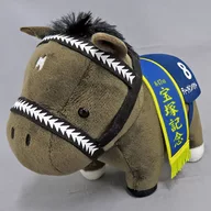 Deep Impact (47th Takarazuka Memorial) Plush toy 5 "Thoroughbred Collection"