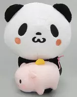 Buy Panda (Rakuten Card / new logo) Panda Full Life Collection Plush toy