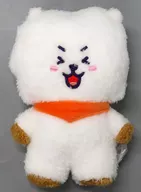 RJ (jin) Tatton Plush toy (S / Arito)' BT21'