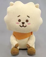 RJ(琴)針織毛絨玩偶(Moco)"BT21"