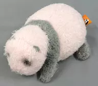蕾蕾 Panda Bebé (Ray Ray/Pink) 13 dias após o nascimento Bicho de pelúcia Ueno Zoo & TokyoZooShop Limited