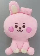 Cooky (Jung Guk) BABY BASIC Empalhado L "Brian Transeau 21"
