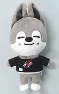 Wolf Chan (Banchan) Original Ver. Plash (Animal Empalhado) "SKZOO"