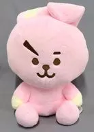 Cooky Fruit Plush toy (L) "BT21"