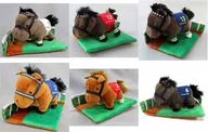 6 kinds set paddock Plush toy 2 "Thoroughbred Collection"