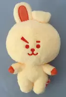 COOKY 5th anniversary Rainbow Color Orange Plush toy "BT21"