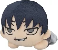 Jinji Fushiguro Kaitama / Tamaori-nebobari Plush toy (S) "Jujutsu Kaisen"