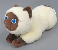 Karpin Plush toy "Shin Tennis-no Oji-sama"