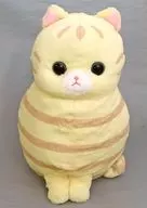 ミリー ハチワレねこのモリー BIGぬいぐるみ
