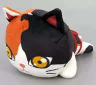 Chachamaru Nebobari Mini Plush toy Sono-4 (EX)' Demon Slayer: Kimetsu no Yaiba'