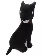 Black Plush toy "Reona" mail-order & limited to Fuan Club