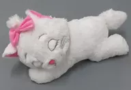 Marie [FDM] Cat's Day Fluffy Sleep-Over Big Plush toy "Marie"